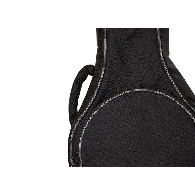 Mandolin Bag