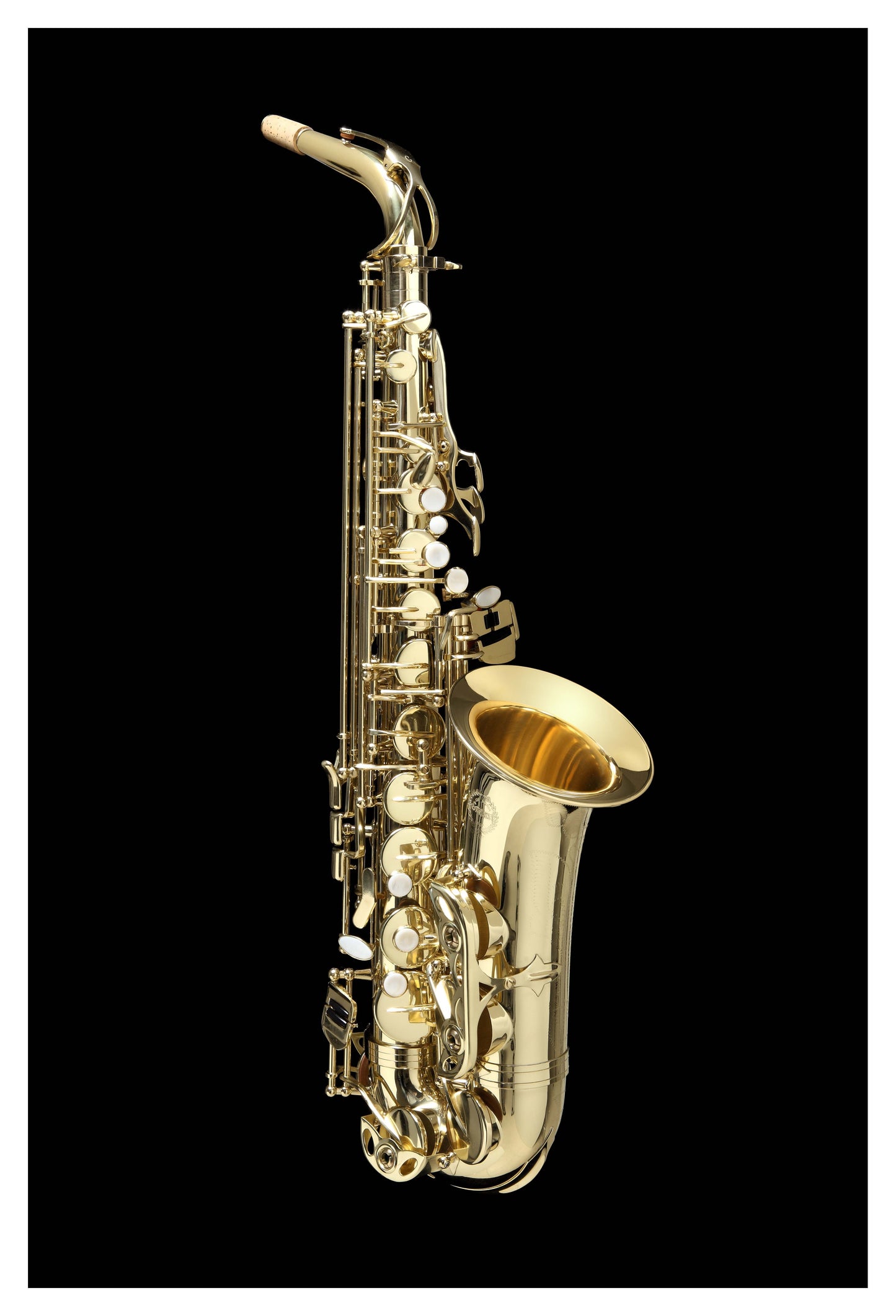 Grassi GR AS20SK Alto Saxophone in E&#9837; Student Kit Yellow Brass Lacquered (Master Series)