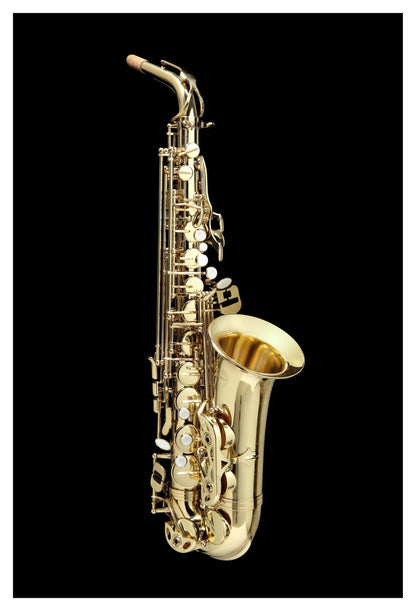 Grassi GR AS210 Alto Saxophone in E&#9837; Yellow Brass Lacquered (Master Series)