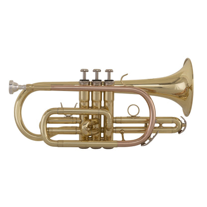 Grassi GR SC240 Cornet in B&#9837; Yellow Brass Lacquered (School Series)