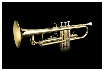 Grassi GR TR20SK Trumpet in B&#9837; Student Kit Yellow Brass Lacquered (Master Series)