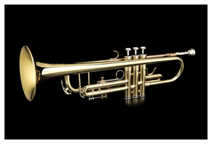 Grassi GR TR210 Trumpet in B&#9837; Yellow Brass Lacquered with Bronzed Lead Pipe (Master Series)