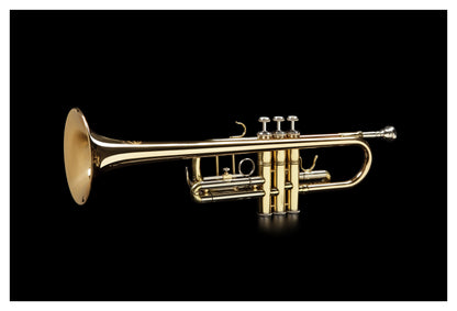 Grassi GR TR410 Trumpet in B&#9837;-C Copper Color Lead Pipe Lacquered (Master Series)