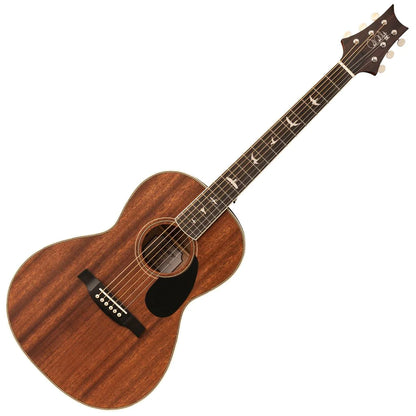 Acoustic/Electric Steel