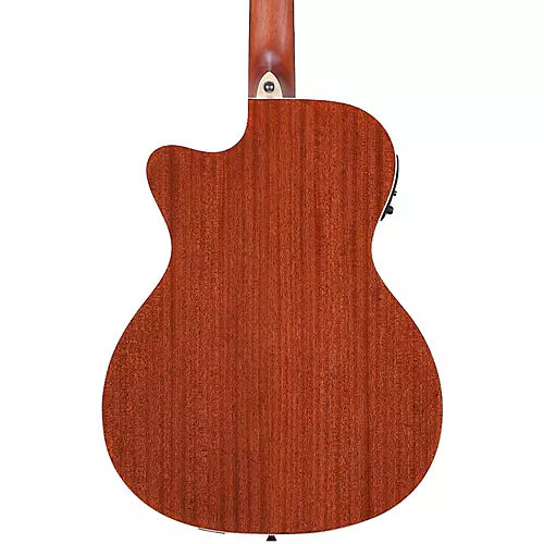 Acoustic/Electric Steel