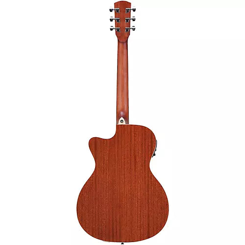 Acoustic/Electric Steel