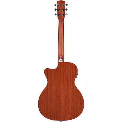 Acoustic/Electric Steel