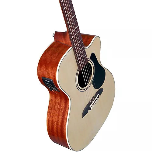 Acoustic/Electric Steel