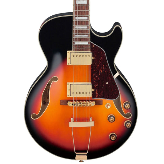 Electric Guitar/Hollowbody
