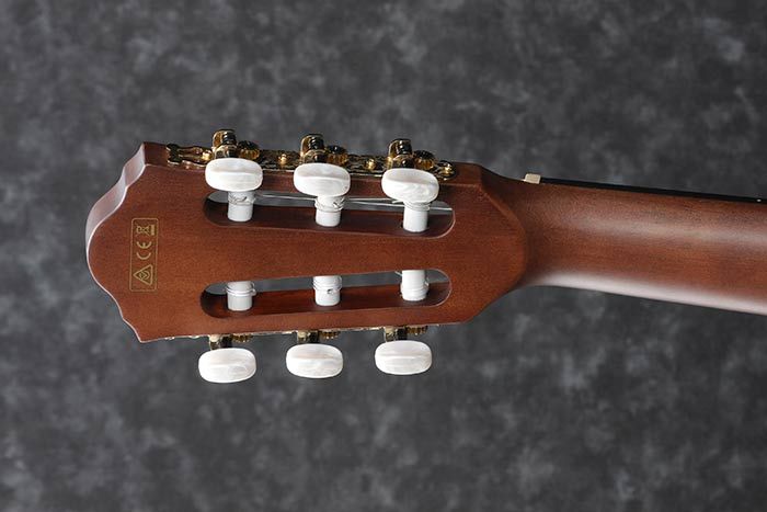 Ibanez AEG50N Acoustic-Electric Guitar - Black High Gloss