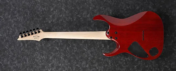 Ibanez Standard RGA42FM in Transparent Gray Flat