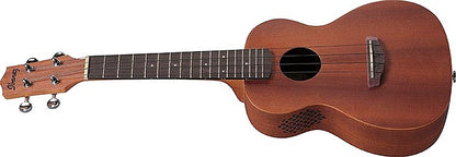 Ukulele