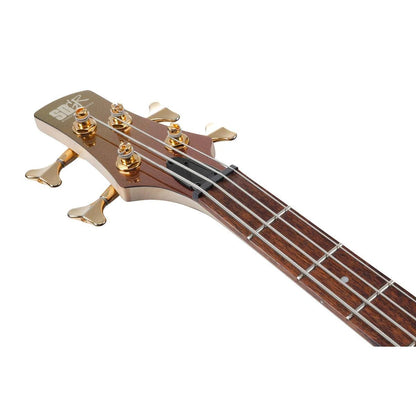 Ibanez - SR300EDXRGC - Electric Bass - Risko Music